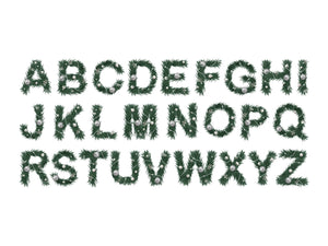 Custom Name Christmas Tote Bag 14"W x 16"H (35 x 40 cm) - Custom Name Holiday Gift, Festive Family Bag, Christmas